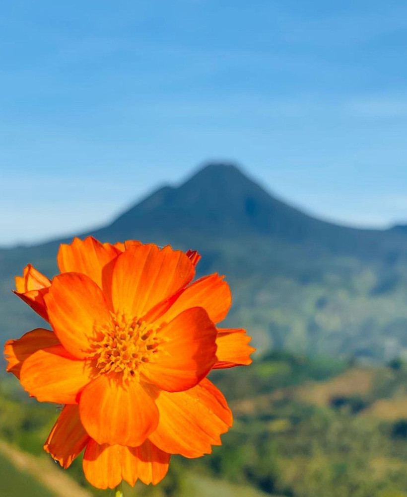 Filipino language lessons